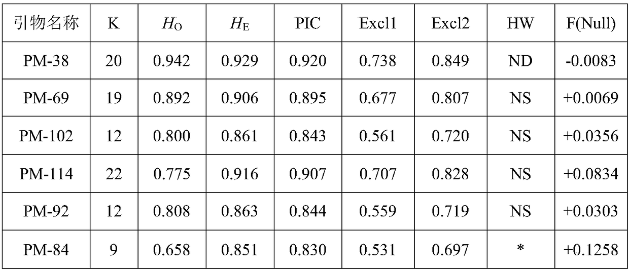 Microsatellite marker primers for identification of microsatellite family of Penaeus monodon, identification method and application