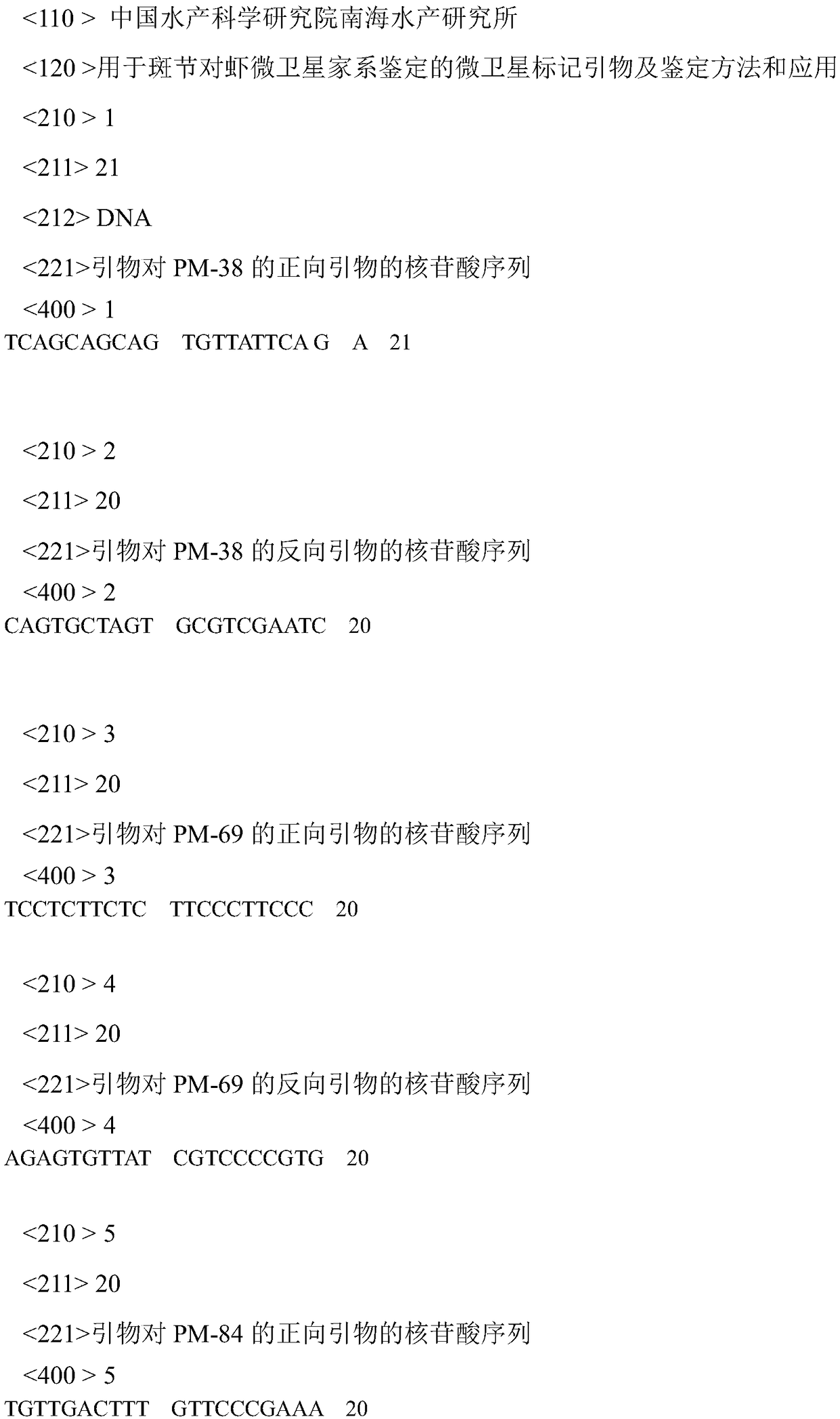 Microsatellite marker primers for identification of microsatellite family of Penaeus monodon, identification method and application