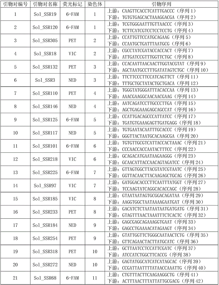 Primer set and method for identifying variety authentication and seed purity of tomatoes