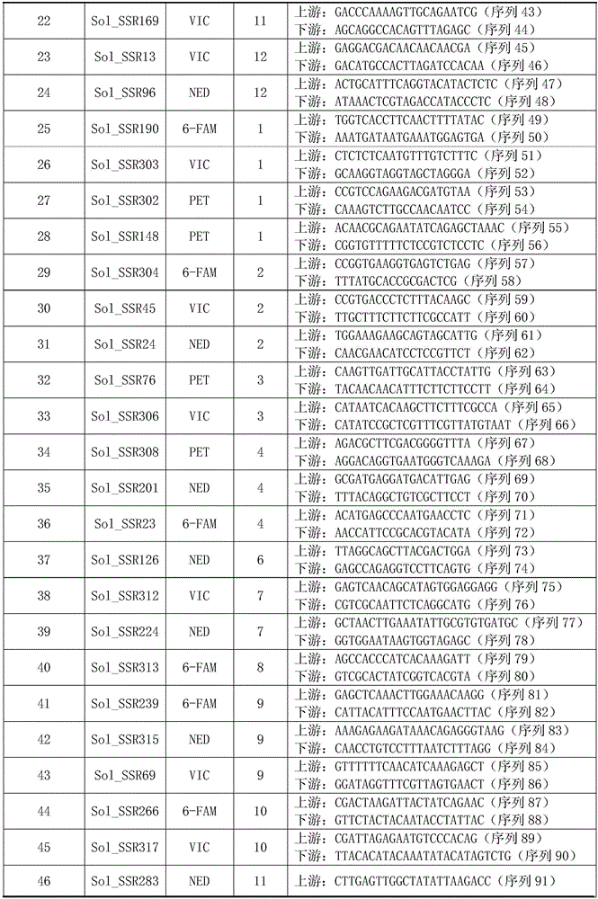 Primer set and method for identifying variety authentication and seed purity of tomatoes