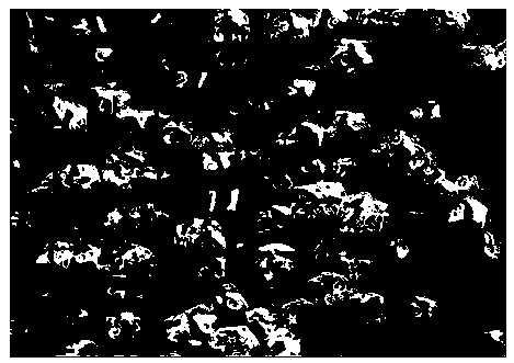 A lithium ion battery negative electrode material in which TiO2 nanoparticles are embedded in a CoS hollow shell and a preparation method thereof