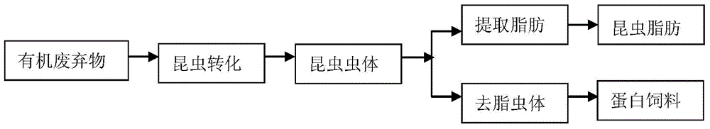 Material separation method for conversion from edible insect bodies to organic waste