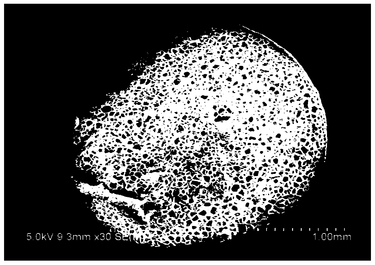 A kind of lost foam of stmma large-size solid casting plate and its preparation method