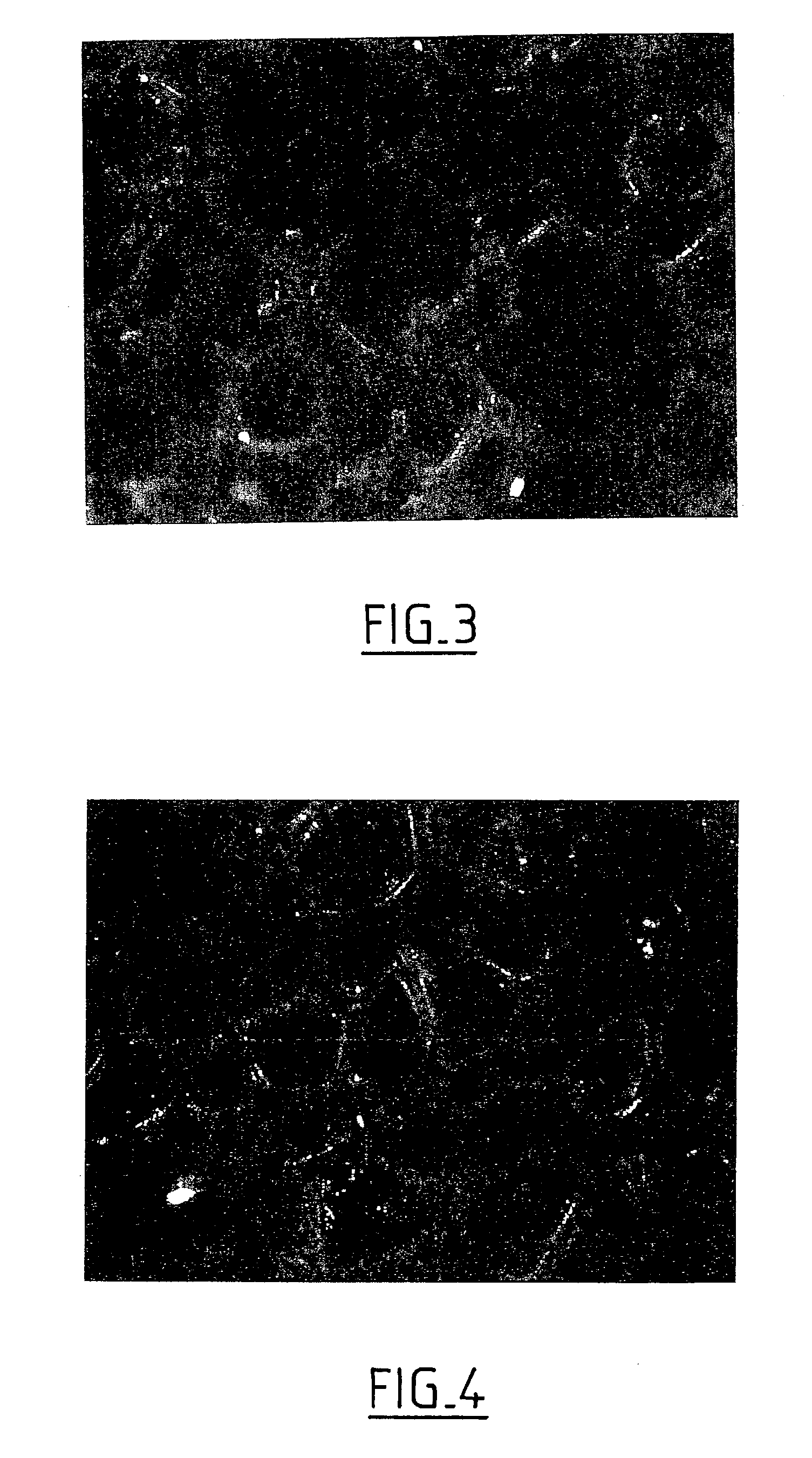 Device for applying a substance, in particular a cosmetic, and its method of manufacture