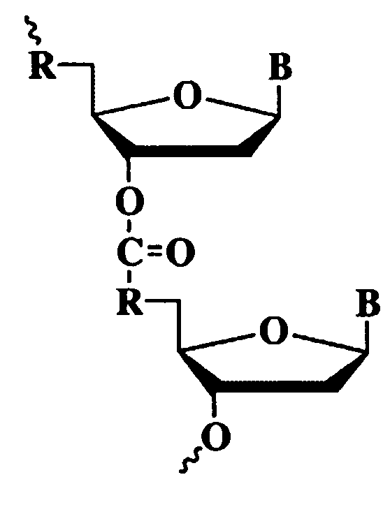 Sense Antiviral Compound and Method for Treating Ssrna Viral Infection