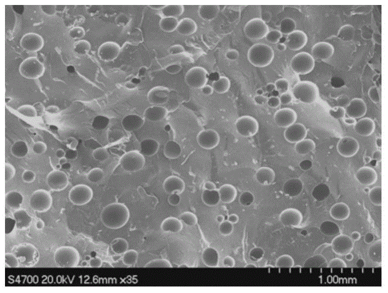 Nanocomposite foaming agent and its preparation method and foamed product