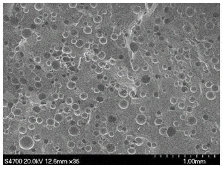 Nanocomposite foaming agent and its preparation method and foamed product