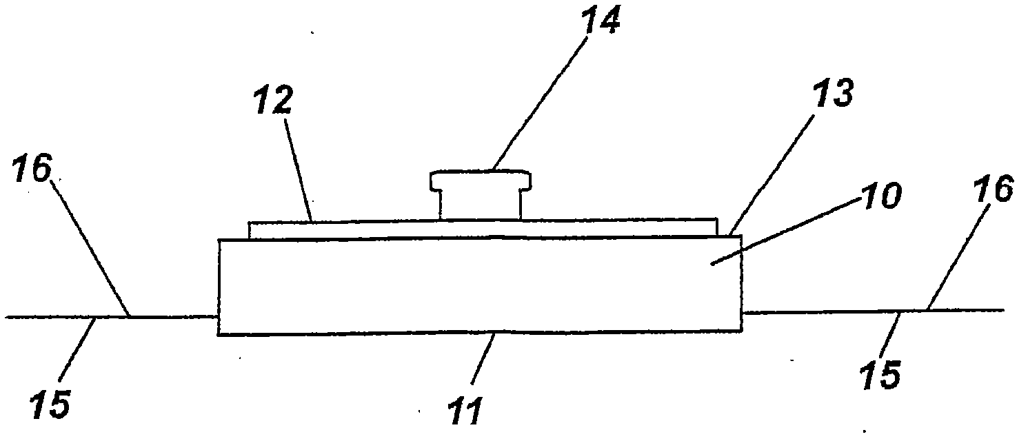 Electrode and electrode positioning arrangement for abdominal fetal electrocardiogram detection