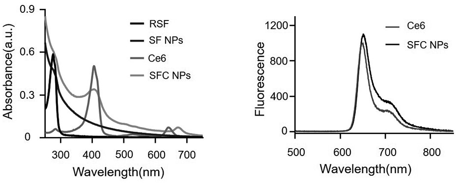 Method for preparing nanoparticles by combining regenerated silk fibroin and photosensitizer