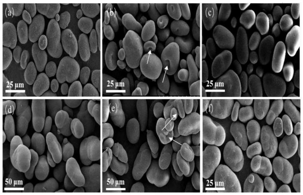 Annealed modified starch and preparation method and application thereof