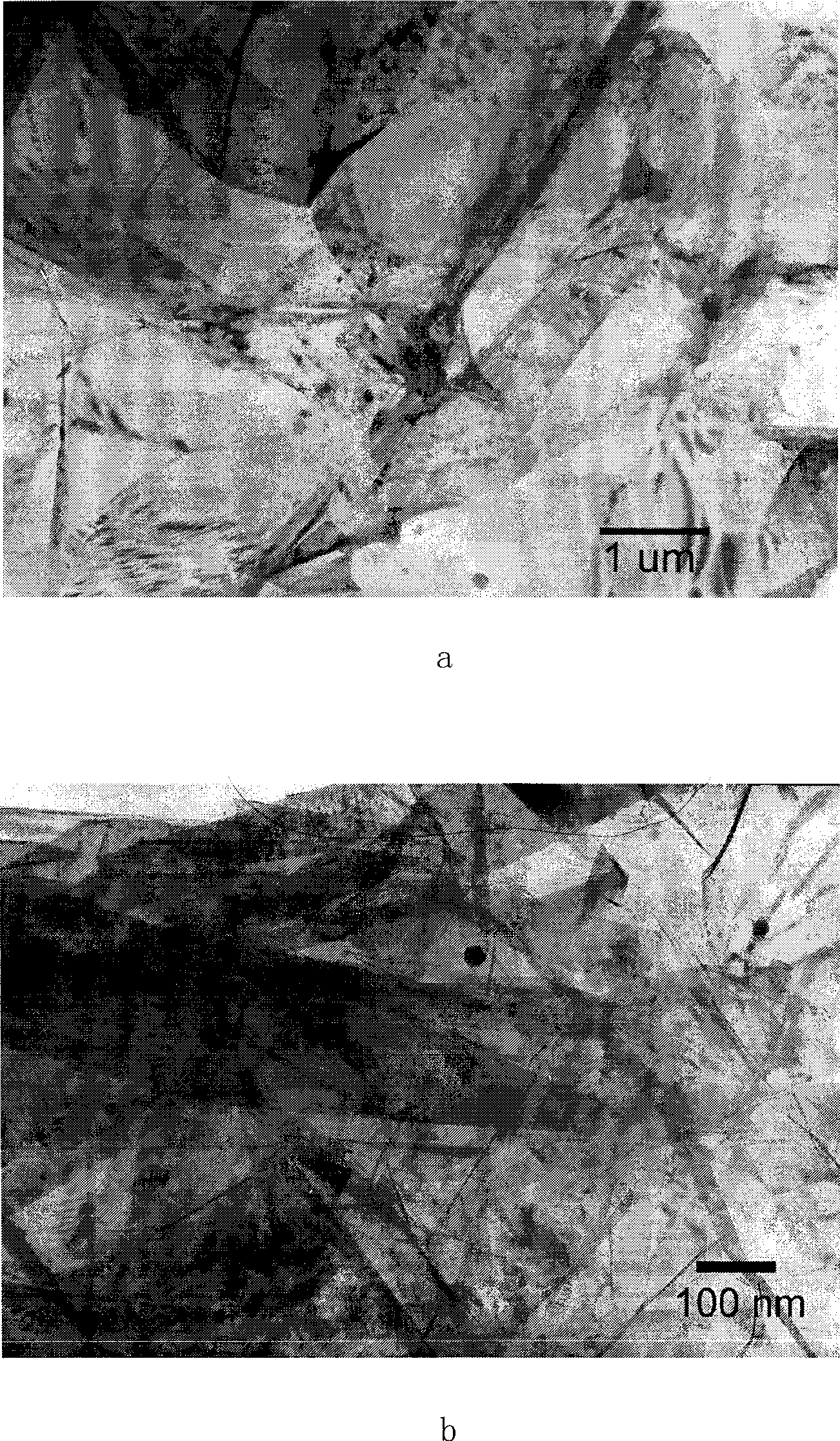 Preparation of graphene