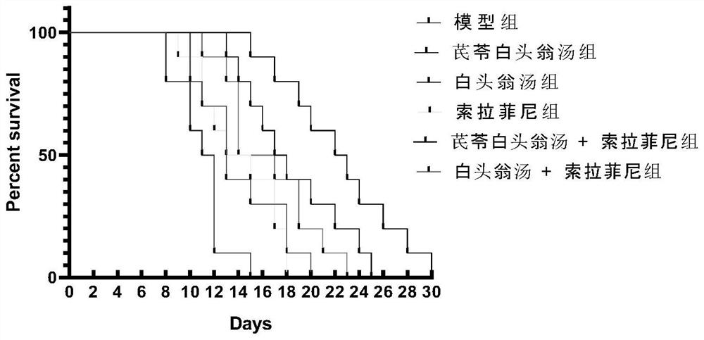 Anti-tumour traditional Chinese medicine composition, and preparation method and application thereof