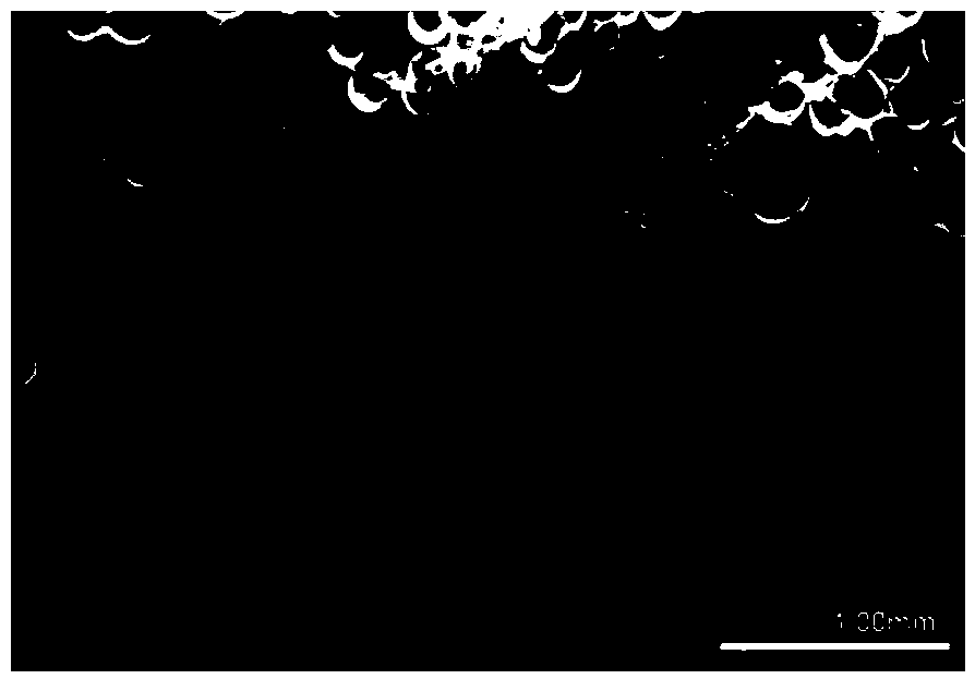 Quinoxaline diamine type polybenzoxazine foam material and preparation method