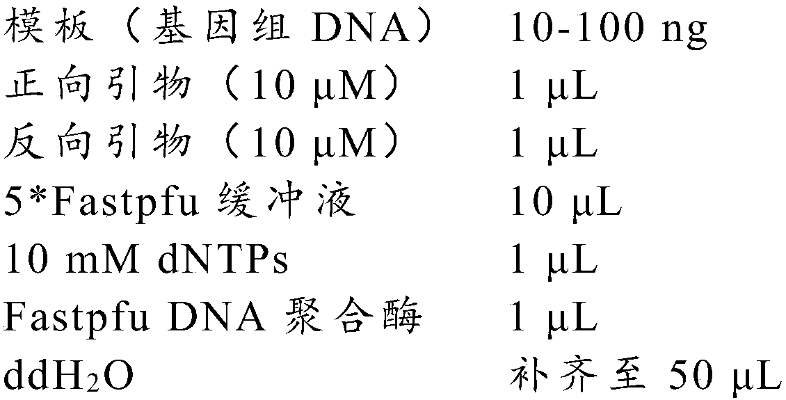 ADCY10 gene mutant and application thereof