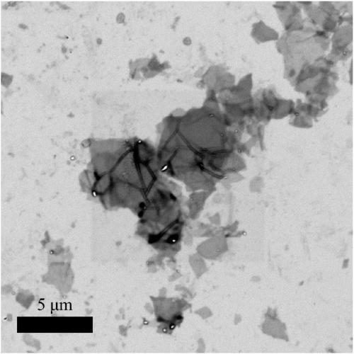 Electrochemical stripping method for preparing fluorine-doped graphene