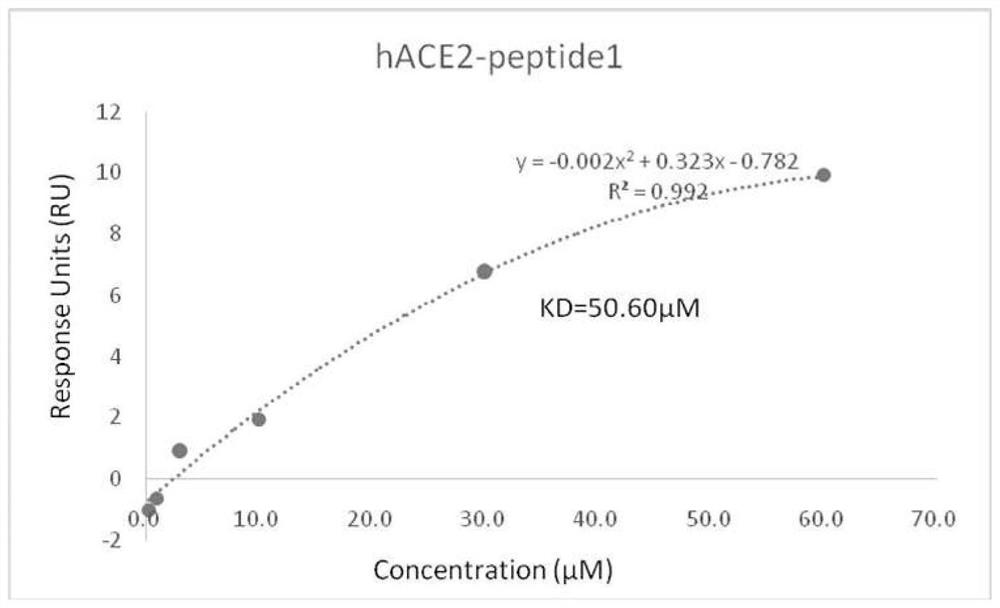 A kind of peptide disinfectant composition for preventing coronavirus