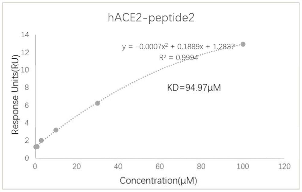 A kind of peptide disinfectant composition for preventing coronavirus