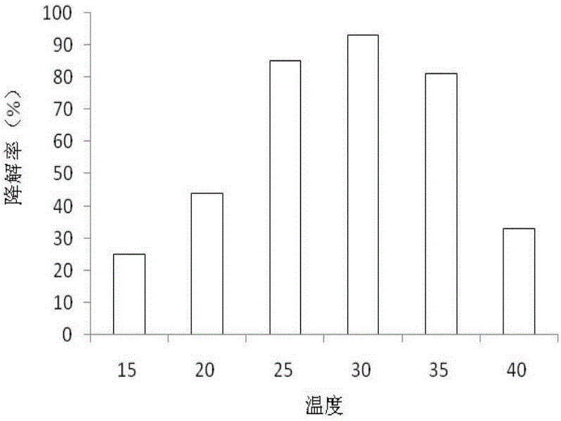 Variovorax paradoxus DEA-3 and immobilization and application thereof