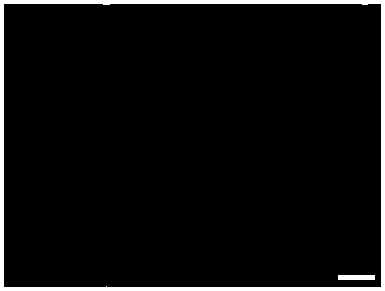 A two-dimensional cuprous iodide material, its preparation and application