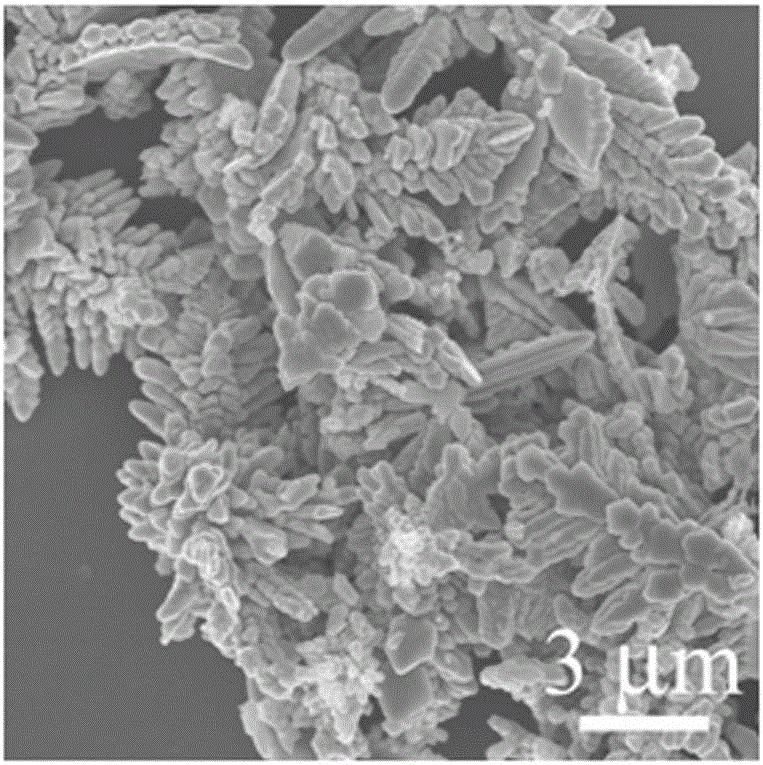 Method for prepring three-dimensional dendritic magnetic cobalt nano material through self-assembly of two-dimensional lamellar constitutional units