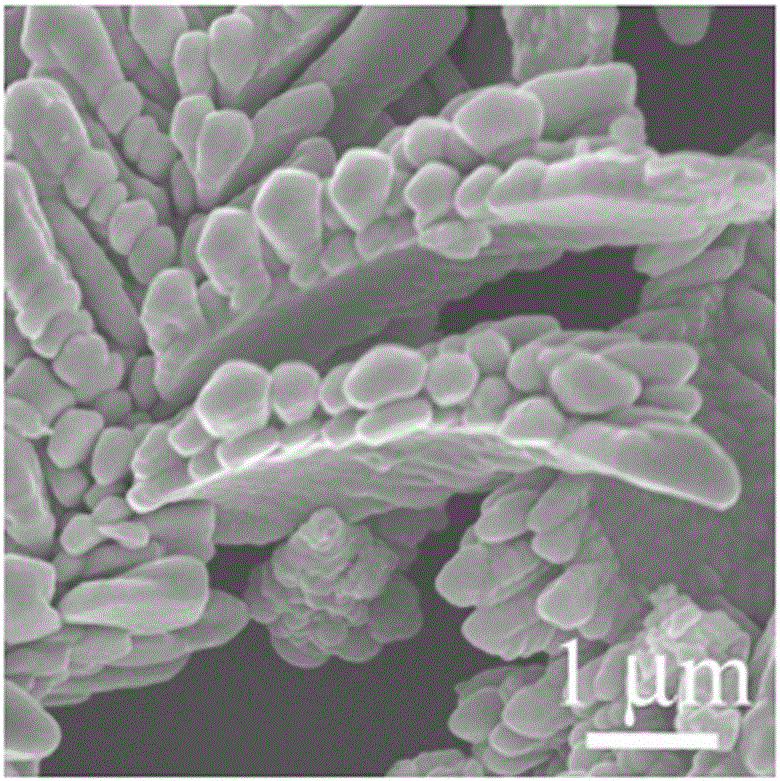 Method for prepring three-dimensional dendritic magnetic cobalt nano material through self-assembly of two-dimensional lamellar constitutional units