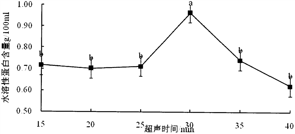 Preparation method of clarias lazera head soup