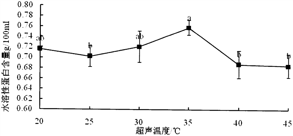 Preparation method of clarias lazera head soup