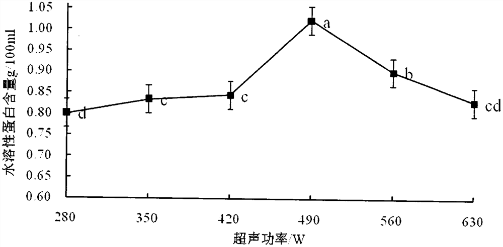 Preparation method of clarias lazera head soup