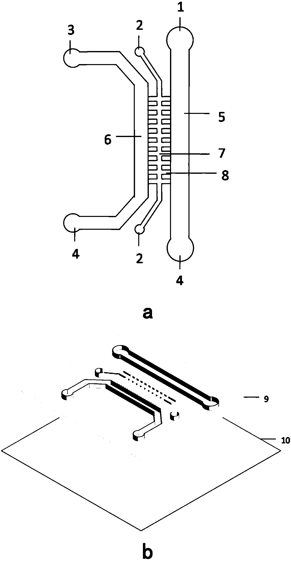 Method for evaluating lung injury caused by nanoparticles based on organ-on-a-chip technology