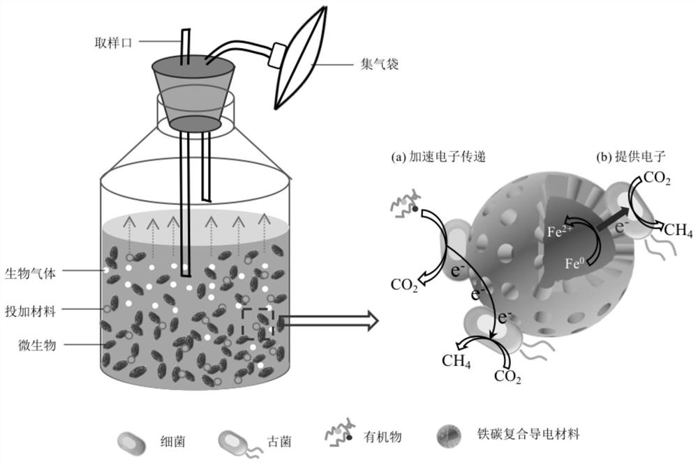 Method for producing methane by enhancing anaerobic digestion of municipal sludge based on electron transfer