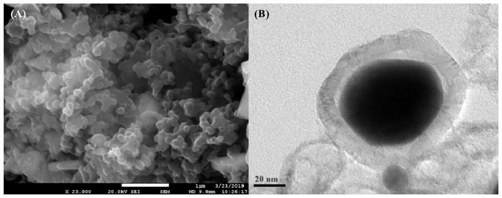 Method for producing methane by enhancing anaerobic digestion of municipal sludge based on electron transfer