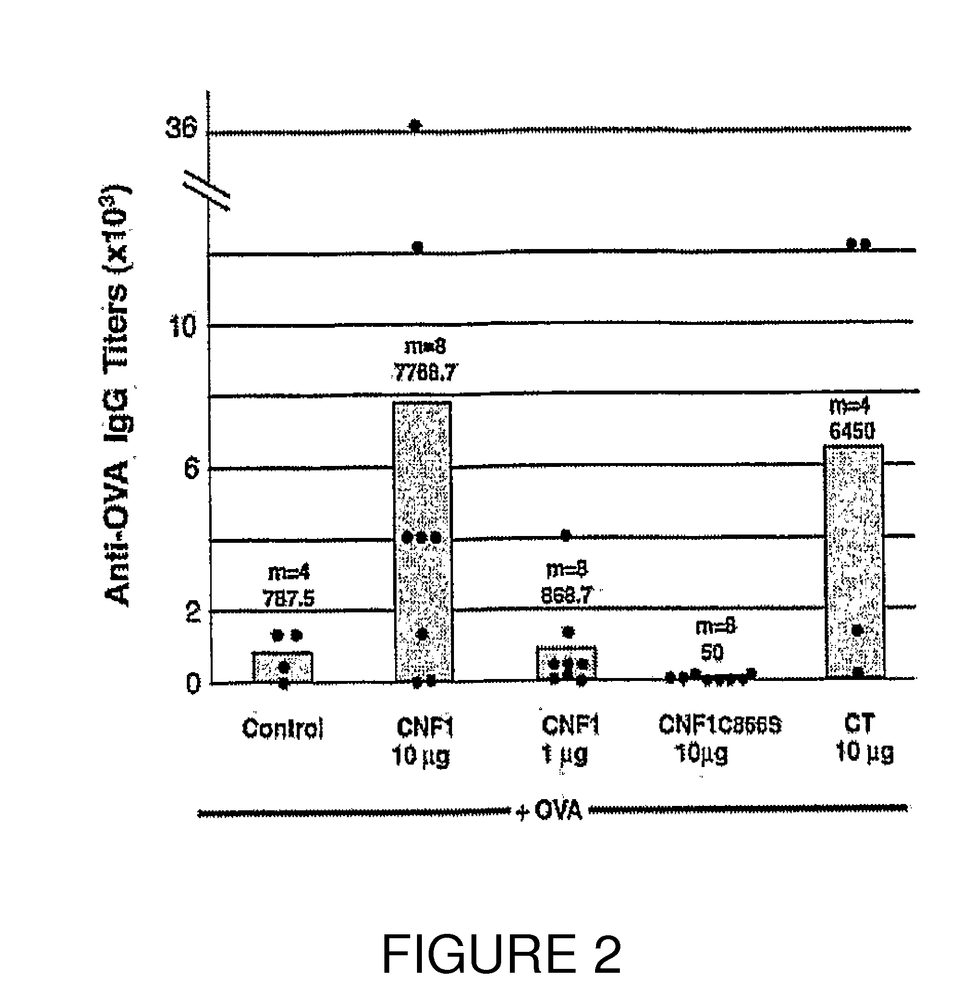 Vaccine composition comprising an immunoadjuvant compound consisting of a rho gtpase family activator