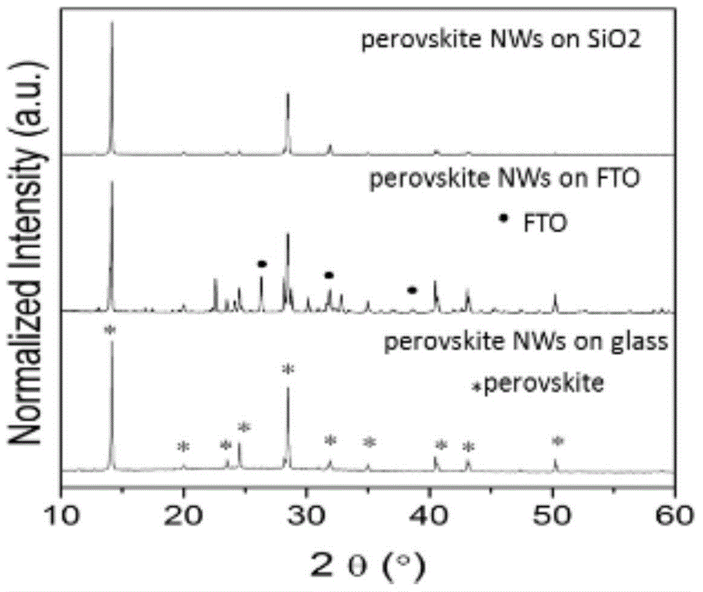 Preparation and application of perovskite nanowires, photoelectric detector and solar cell