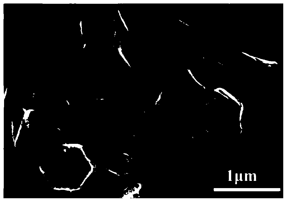 Polypyrrole-coated sulfur-doped cobalt-based carbon nanocage material, preparation method and application thereof