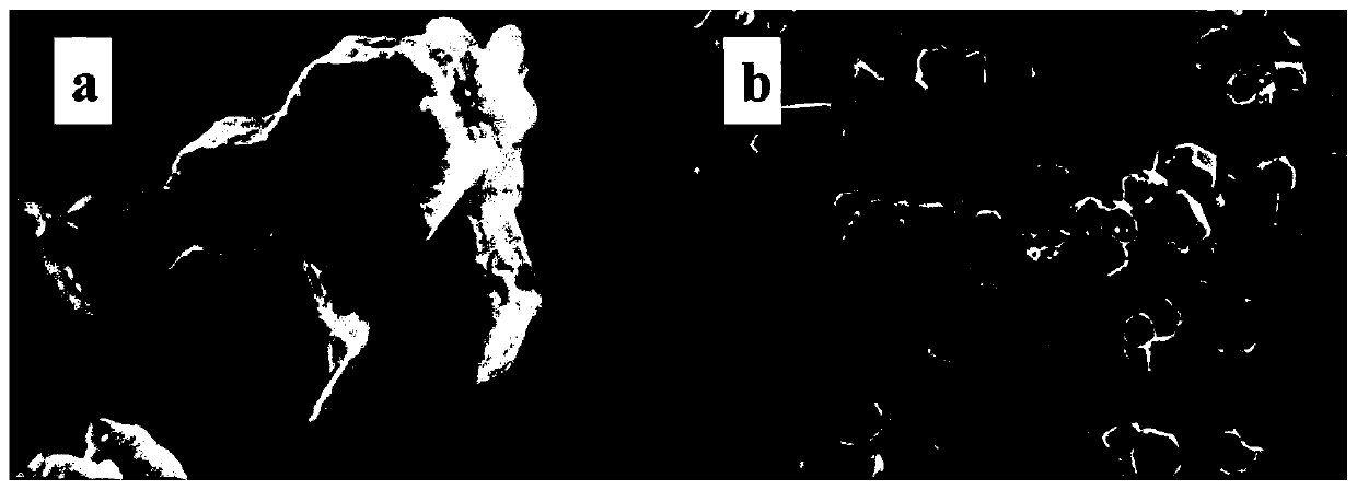 Polypyrrole-coated sulfur-doped cobalt-based carbon nanocage material, preparation method and application thereof