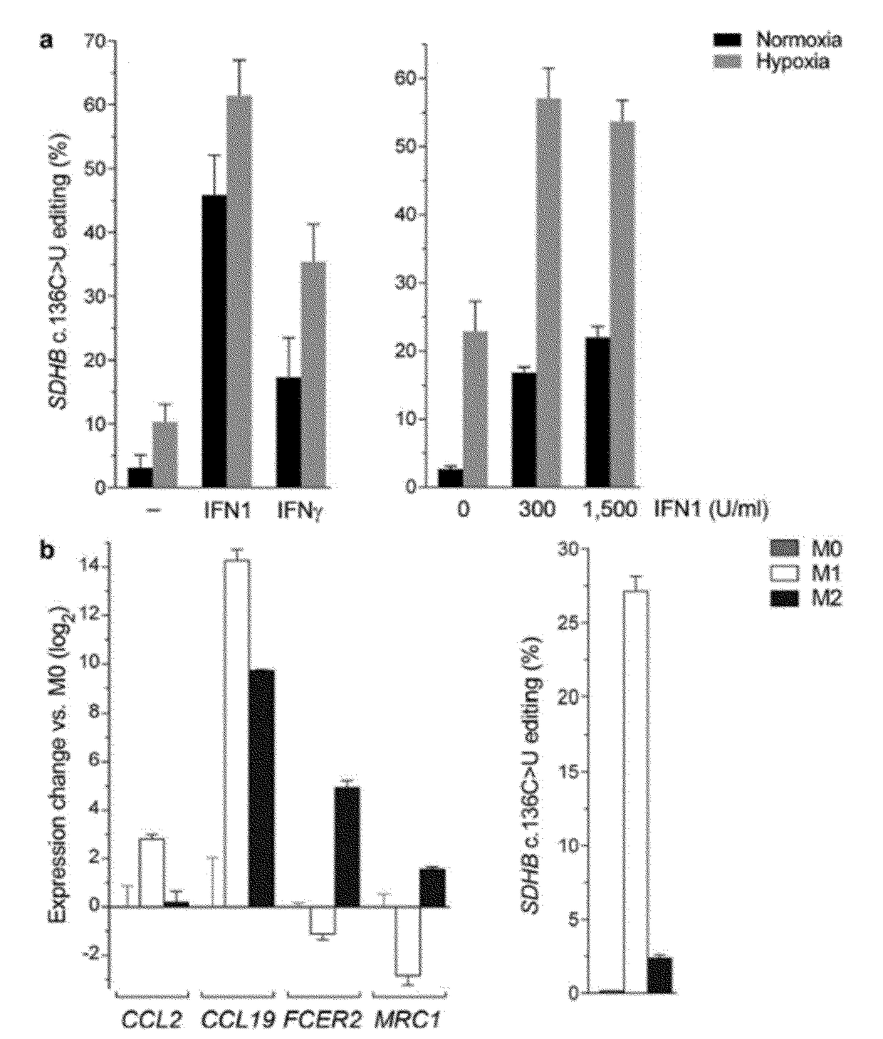 Apobec3a cytidine deaminase induced RNA editing