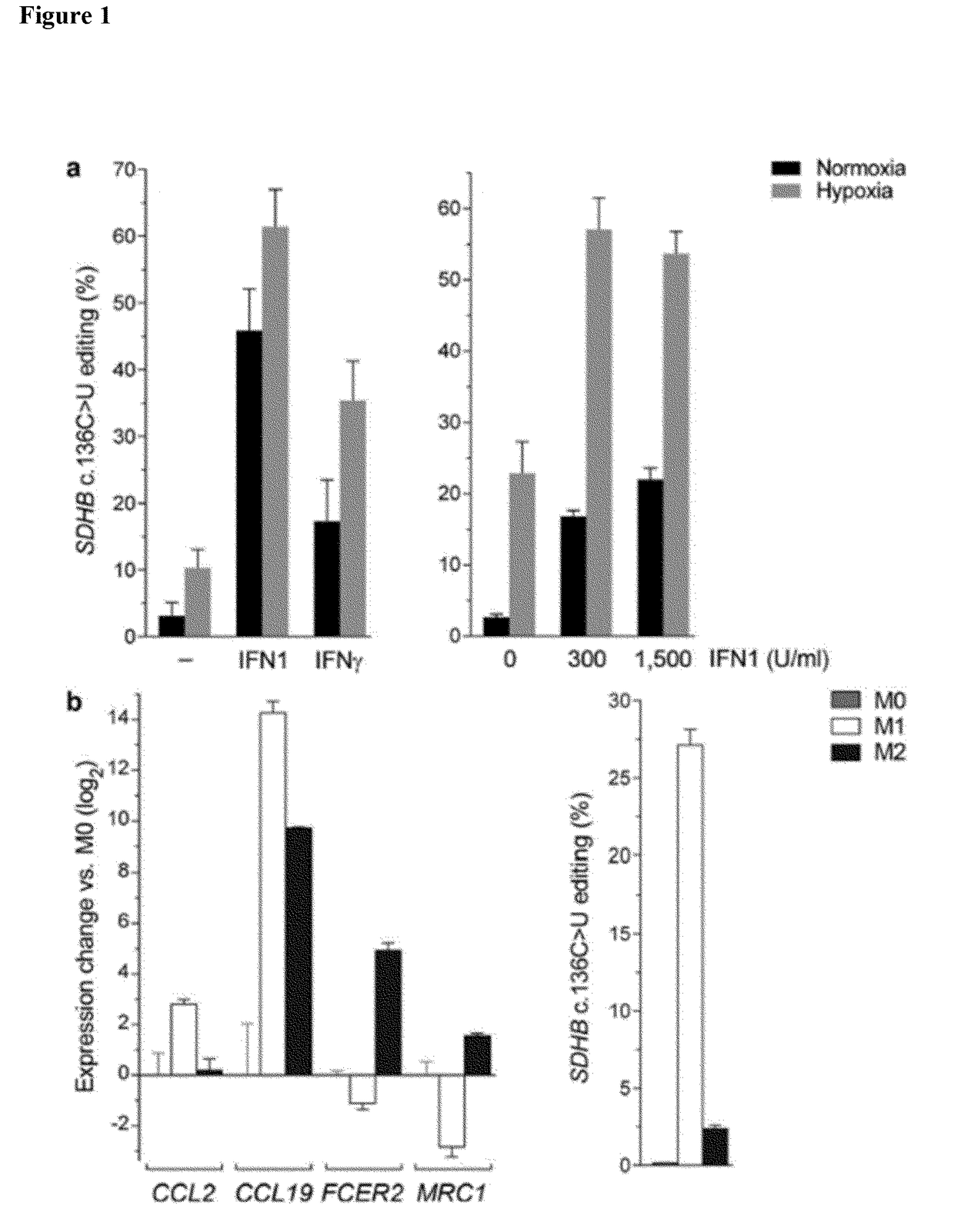 Apobec3a cytidine deaminase induced RNA editing