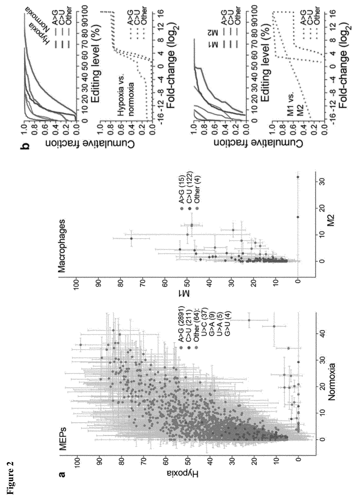 Apobec3a cytidine deaminase induced RNA editing