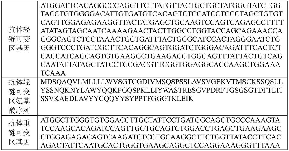 New coronavirus single-chain antibody, quality control substance and preparation method