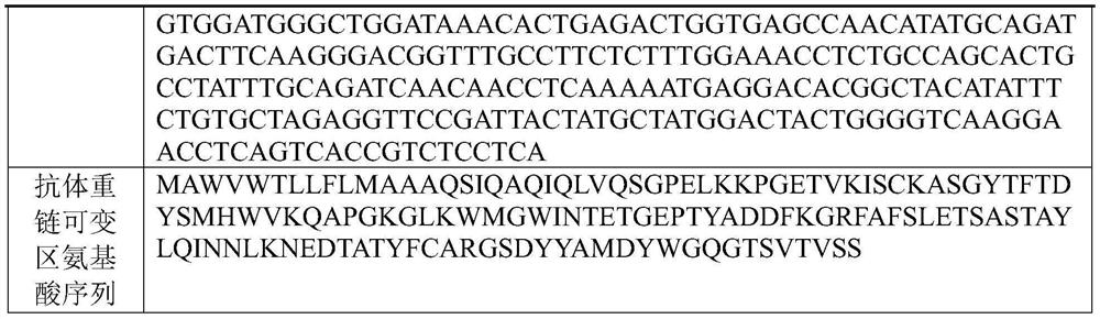 New coronavirus single-chain antibody, quality control substance and preparation method