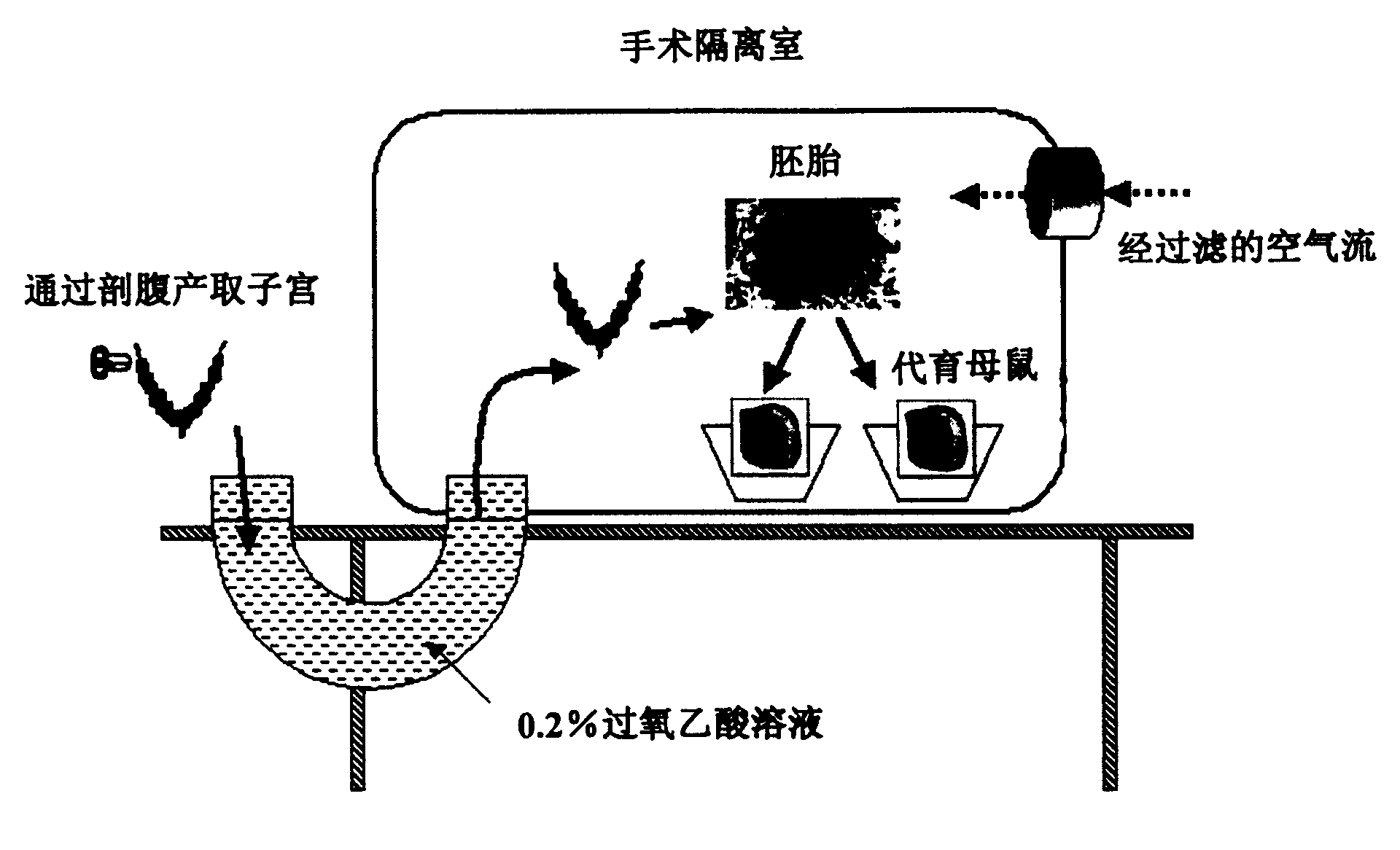 Method for raising SPE hamster for preparing various biological products