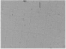 Efficient and practical method for culturing freshwater chlorella and application thereof