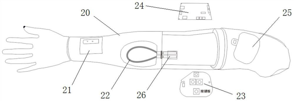 Electronic standardized human body model system for emergency training and assessment