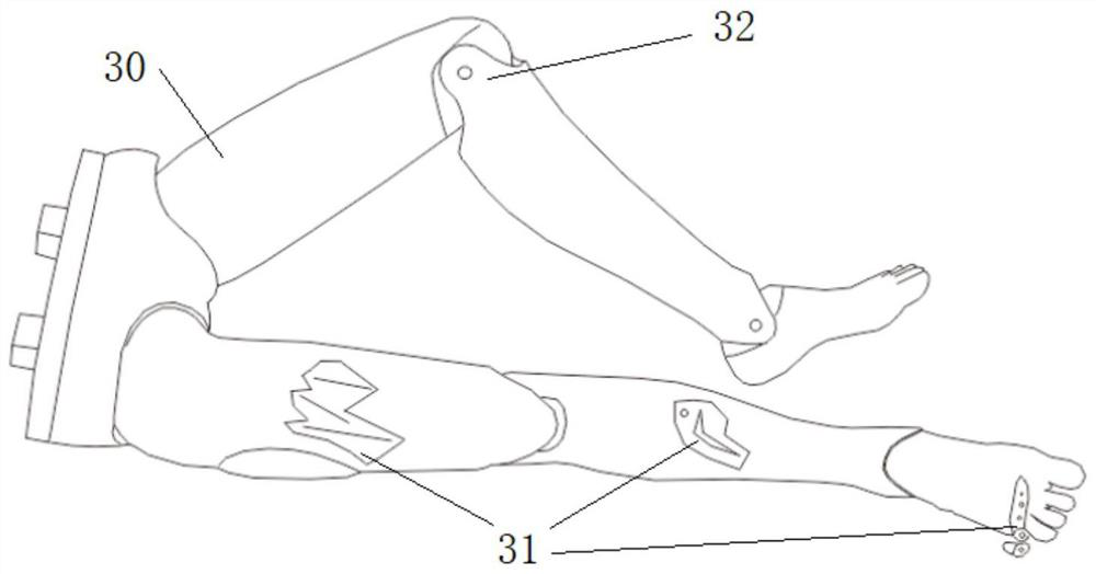 Electronic standardized human body model system for emergency training and assessment