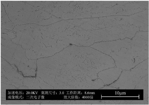 Magnetic memory alloy with large strain and preparation method thereof