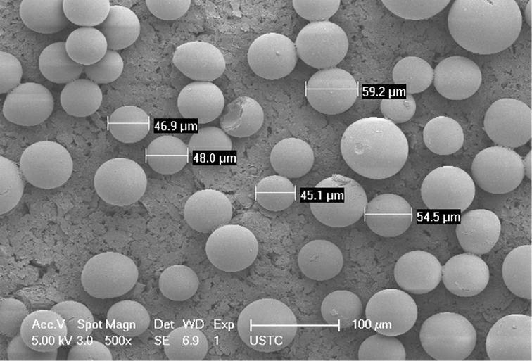 Preparation of triazine phytocide molecular imprinting solid phase extracting material