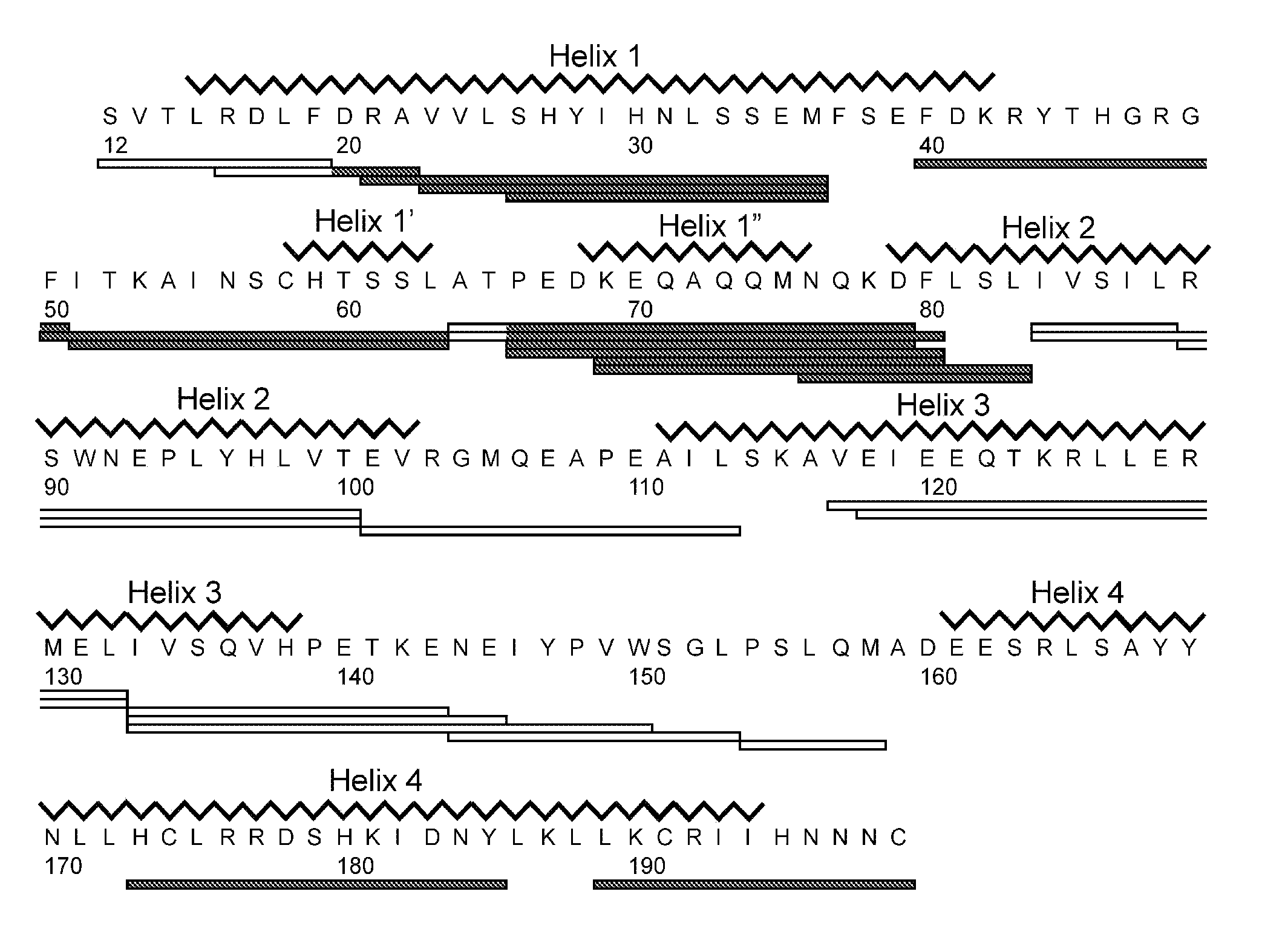 Peptides with high affinity for the prolactin receptor