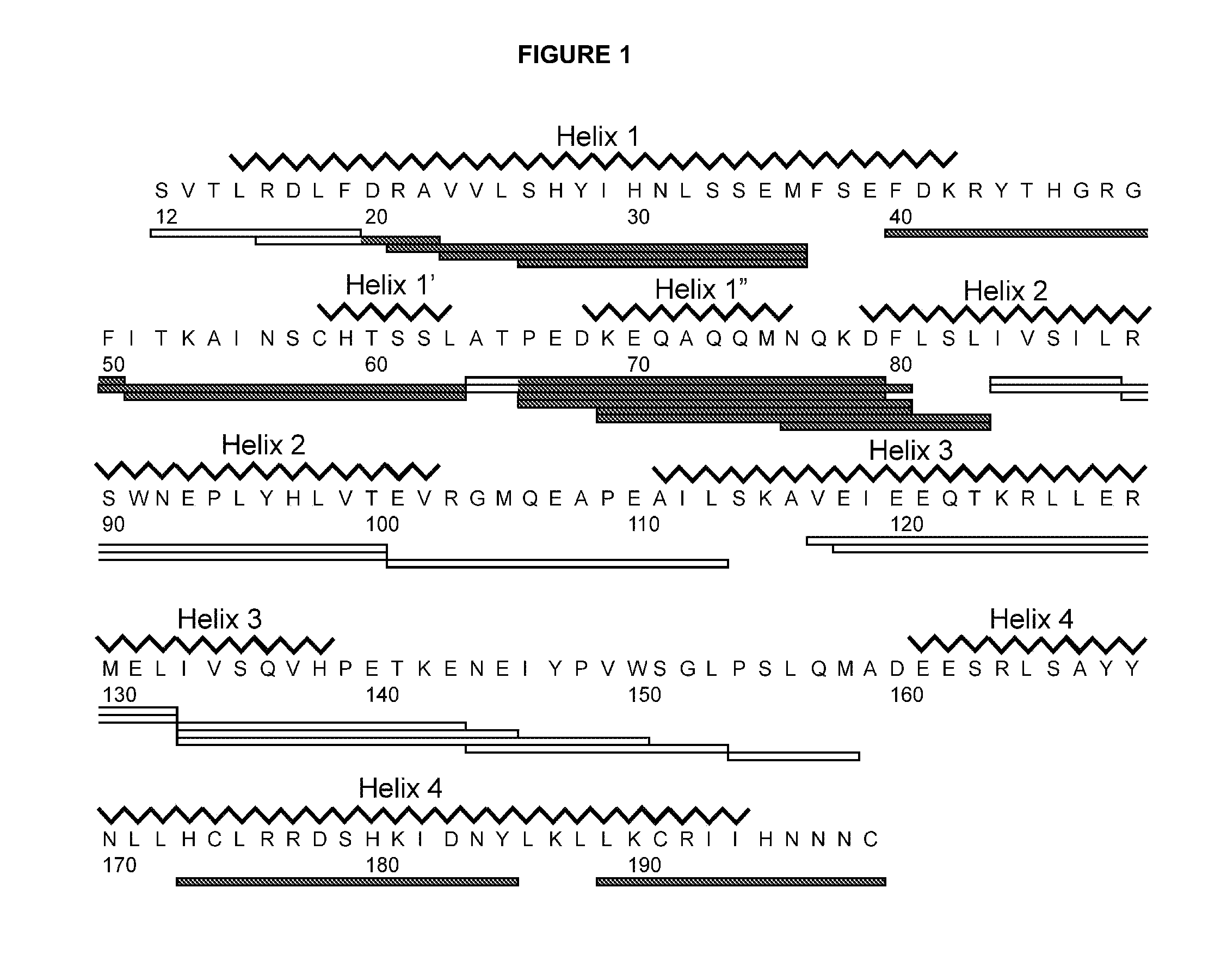 Peptides with high affinity for the prolactin receptor