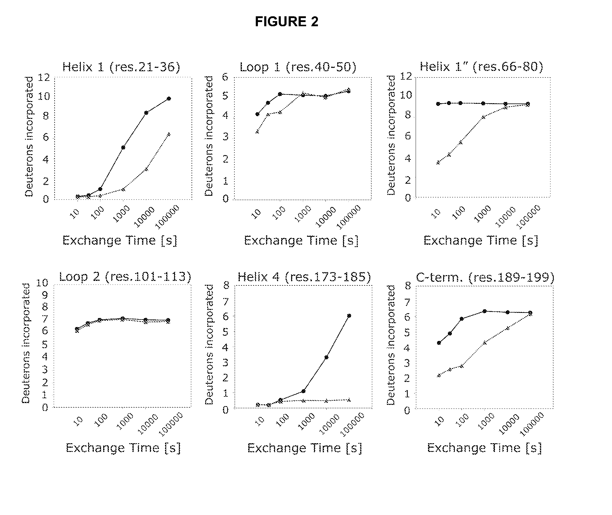 Peptides with high affinity for the prolactin receptor