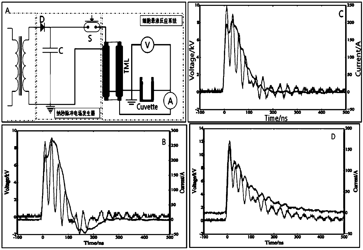 Method for improving electroporation efficiency of electric energy induced living cell membrane